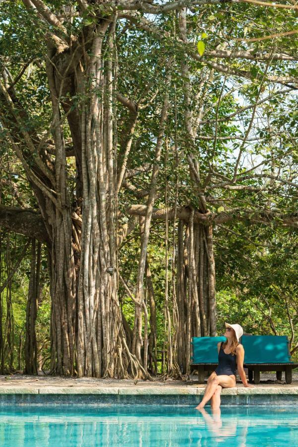 Kaav Safari Lodge, Kabini Begur Exterior photo